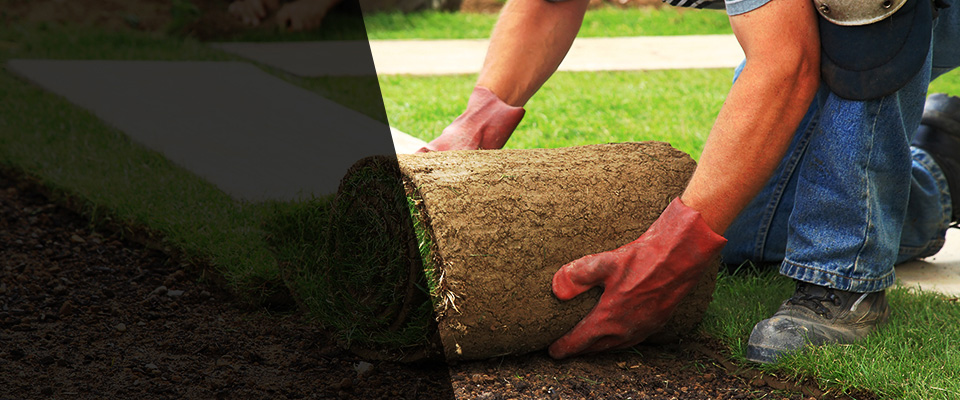 Haverhill Landscapers